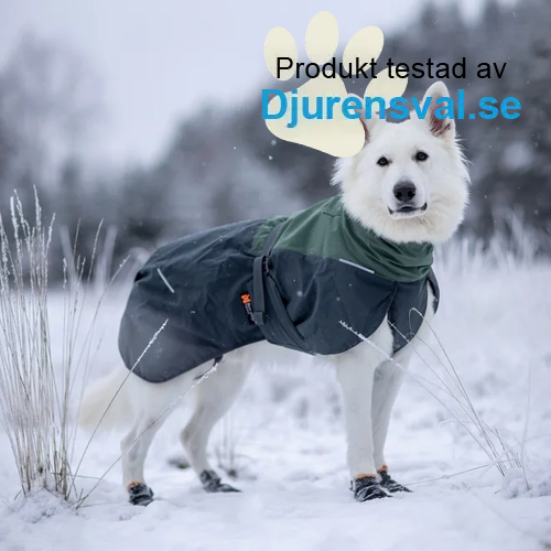 Non-Stop Dogwear Glacier 2.0 Vintertäcke i Ull Grön/Svart